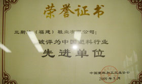 2009年中國(guó)塑料行業(yè)先進(jìn)單位